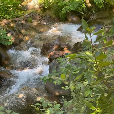 Casa Da Lagoa Ii * Terras de Bouro