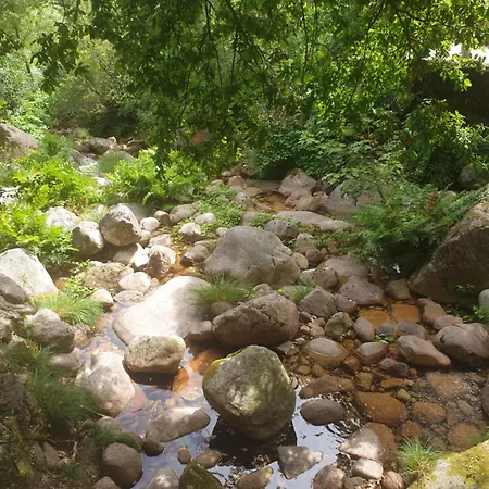 Апартаменты Casa Da Lagoa Ii Терраш-ди-Бору