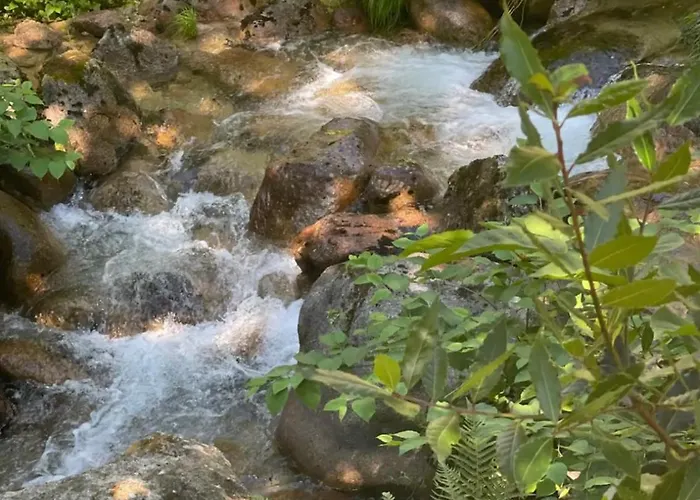 Casa Da Lagoa Ii * Terras de Bouro
