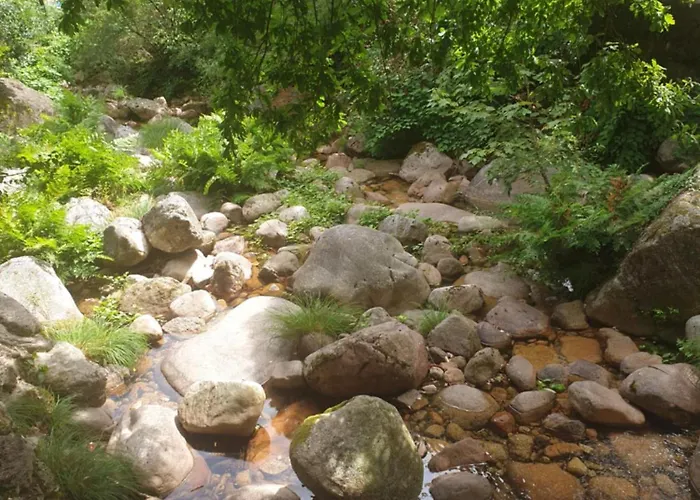 아파트 Casa Da Lagoa Ii 테라스 드 부로